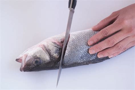 how to fillet a fish|How to Fillet a Fish: An Easy, Expert.